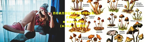 мескалин Одинцово