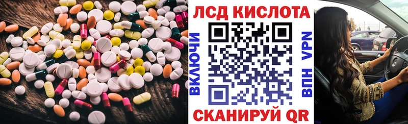 где купить наркотик  Каргополь  Лсд 25 экстази кислота 