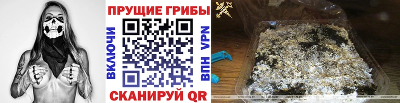 Псилоцибиновые грибы ЛСД Каргополь