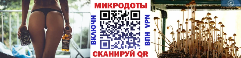 Псилоцибиновые грибы Magic Shrooms  наркота  blacksprut tor  Каргополь 
